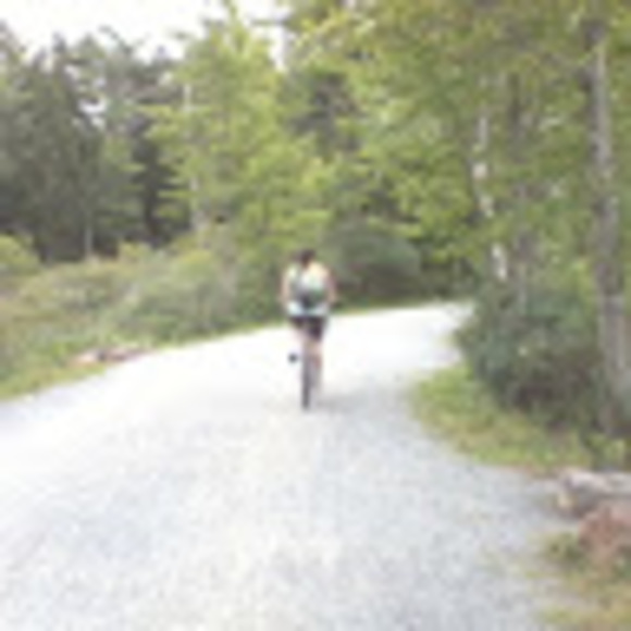 juliabruno610